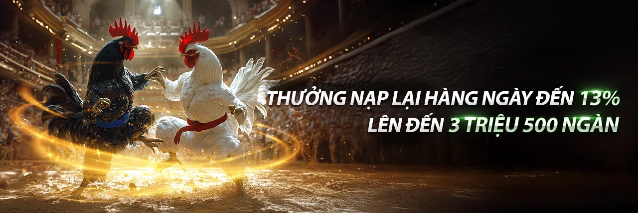 Đá Gà Trực Tuyến Hấp Dẫn tại 79sodo Code